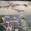 遇见博物馆(798店) - 北京市旅游 缩略图 6