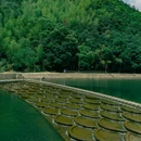 瑶里古镇风景区 - 景德镇市旅游 缩略图 9