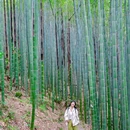 成都阳平玄观 - 成都市旅游 缩略图 5