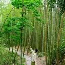 成都阳平玄观 - 成都市旅游 缩略图 6