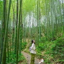 成都阳平玄观 - 成都市旅游 缩略图 7