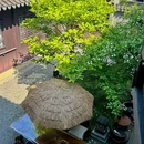东台西溪天仙缘景区 - 盐城旅游 缩略图 3