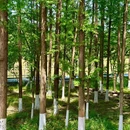 南京聚宝山公园 - 南京市旅游 缩略图 8