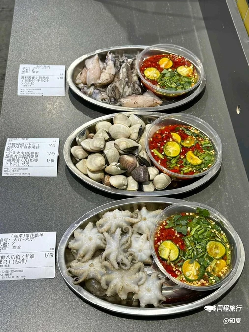 重庆大学 - 重庆市旅游