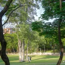 华南农业大学 - 广州市旅游 缩略图 5