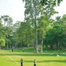 华南农业大学 - 广州市旅游 缩略图 3