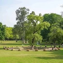 华南农业大学 - 广州市旅游 缩略图 8