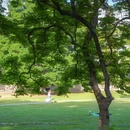 华南农业大学 - 广州市旅游 缩略图 6