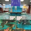 千岛小侬臻味堂 - 杭州市旅游 缩略图 7