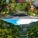 莫干山江南瑶坞旅游度假区 - 湖州市旅游 缩略图 7