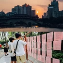 杜甫草堂 - 成都市旅游 缩略图 2