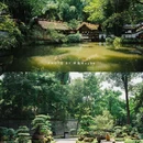 杜甫草堂 - 成都市旅游 缩略图 4
