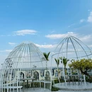 金香顿悦庭高空无边泳池全景花园酒店(西双版纳嘎洒国际机场店) - 西双版纳傣族自治州旅游 缩略图 7