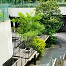 tazaTe大地茶场 喝酿造茶 吃云南菜(源野店) - 成都市旅游 缩略图 8