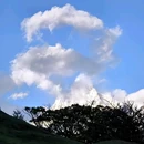 龙华山庄 - 成都市旅游 缩略图 3