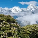 龙华山庄 - 成都市旅游 缩略图 5