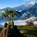 龙华山庄 - 成都市旅游 缩略图 4