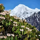 龙华山庄 - 成都市旅游 缩略图 1