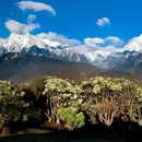 龙华山庄 - 成都市旅游 缩略图 6