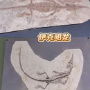 遇见博物馆(南京馆) - 南京市旅游 缩略图 1