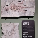 遇见博物馆(南京馆) - 南京市旅游 缩略图 3