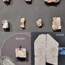 遇见博物馆(南京馆) - 南京市旅游 缩略图 6