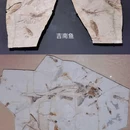 遇见博物馆(南京馆) - 南京市旅游 缩略图 8