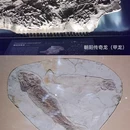遇见博物馆(南京馆) - 南京市旅游 缩略图 7