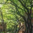 中山大学(广州校区南校园) - 广州市旅游 缩略图 2
