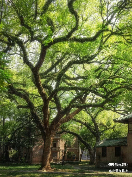 中山大学(广州校区南校园) - 广州市旅游