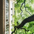 中山大学(广州校区南校园) - 广州市旅游 缩略图 7