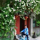 寿比胡同 - 北京市旅游 缩略图 1
