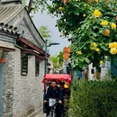 寿比胡同 - 北京市旅游 缩略图 4