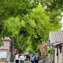 寿比胡同 - 北京市旅游 缩略图 8