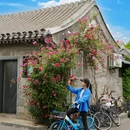 寿比胡同 - 北京市旅游 缩略图 7