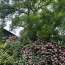 寿比胡同 - 北京市旅游 缩略图 9
