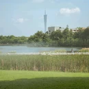东山湖公园 - 广州市旅游 缩略图 4