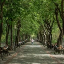 东山湖公园 - 广州市旅游 缩略图 1