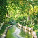 逍遥津公园 - 合肥市旅游 缩略图 4