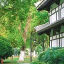 逍遥津公园 - 合肥市旅游 缩略图 6