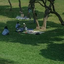 中山公园 - 佛山市旅游 缩略图 2