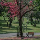 中山公园 - 佛山市旅游 缩略图 5