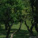 中山公园 - 佛山市旅游 缩略图 8