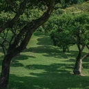 中山公园 - 佛山市旅游 缩略图 9