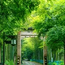 浴鹄湾 - 杭州市旅游 缩略图 5