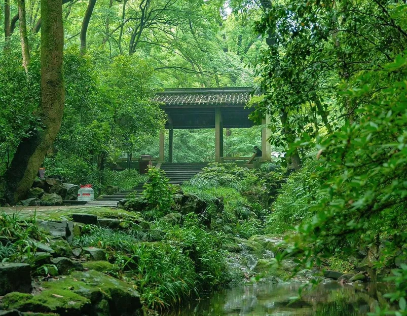 浴鹄湾 - 杭州市旅游 1