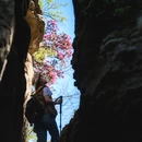 光雾山旅游景区 - 巴中市旅游 缩略图 2