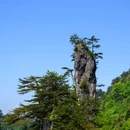 光雾山旅游景区 - 巴中市旅游 缩略图 4
