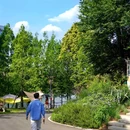 麓客岛游客中心 - 成都市旅游 缩略图 9