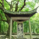 鲁迅故里景区 - 绍兴市旅游 缩略图 7